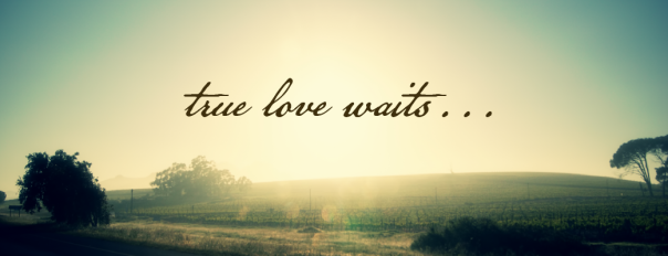 True-Love-Waits-01